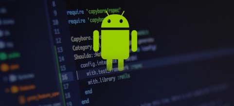 Custom Web Applications